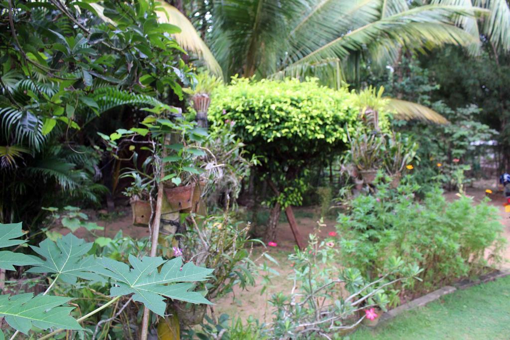 Anura Home Stay Kalutara Luaran gambar